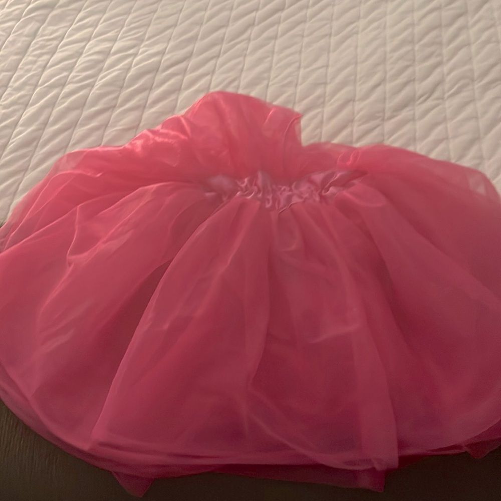 Fluffy Pink Tutu